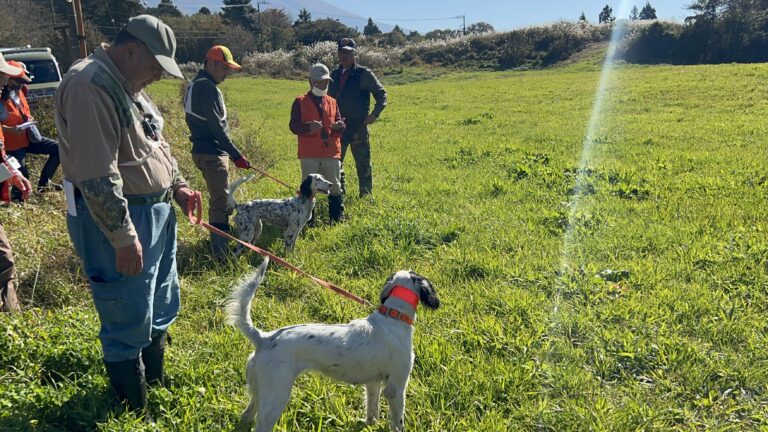 Training Dayにようこそ。