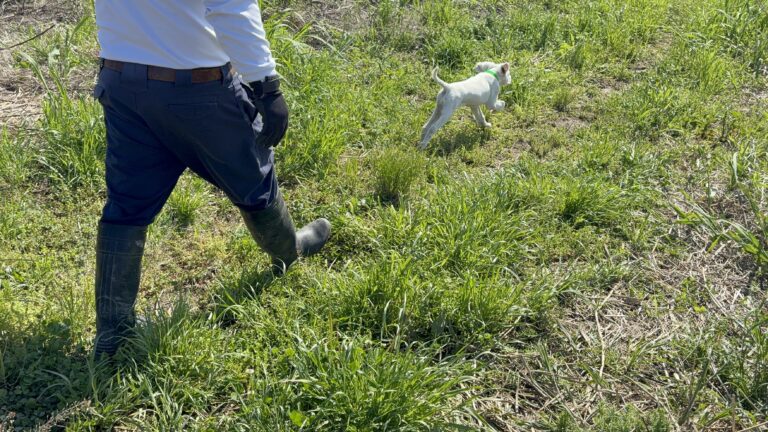 第3章｜仔犬の育て方