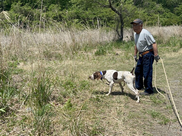 【完全ガイド】なぜ今「チェックコードなのか？」