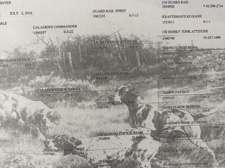 フィールドの血は、自然には残らない