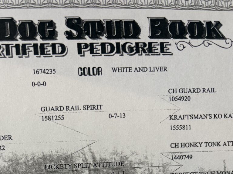 なぜFDSBはAKCに寄らなかったのか