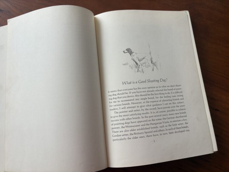 立派なシューティング・ドッグとは何か？