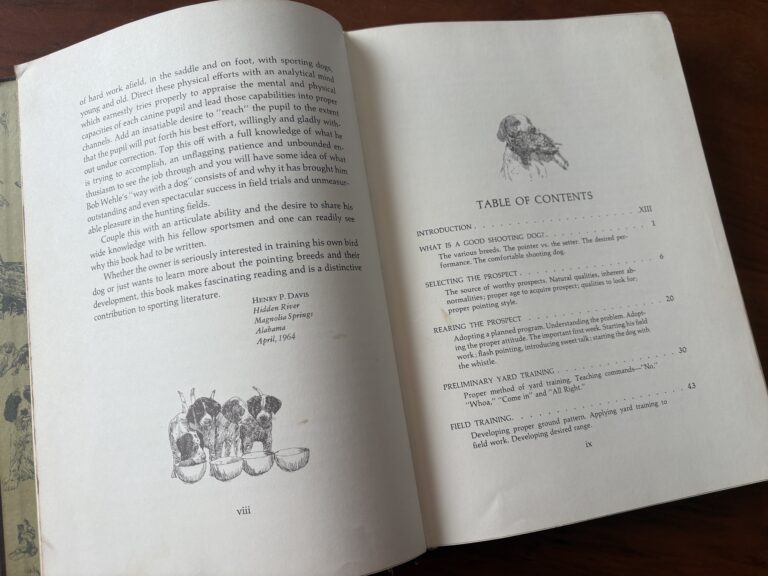 なぜ今『Wing & Shot』を読むのか